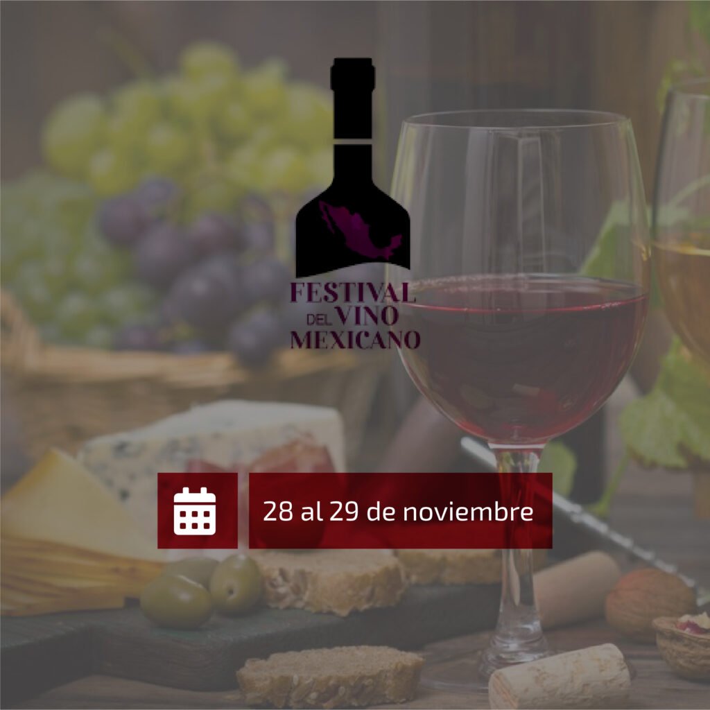 4 festivales de vino imperdibles para este 2022 en México Separator