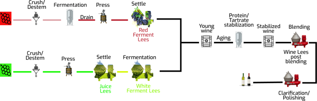 winemaking process